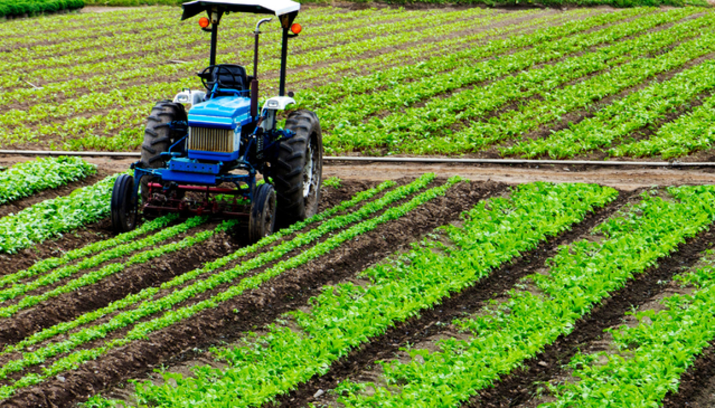 Formation hygiène alimentaire pour les exploitants agricoles : contactez SSA Pro !